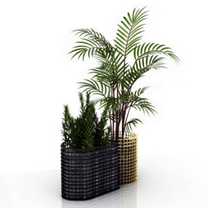 Golden - Double Vase